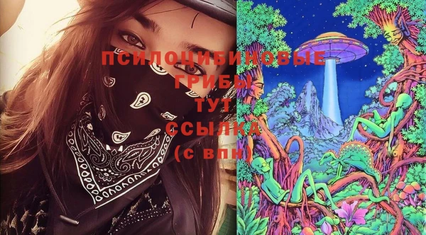 спайс Нягань