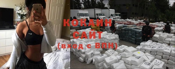 амф Осинники