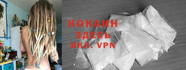 apvp Няндома
