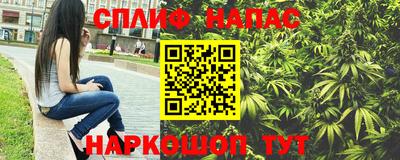 спиды Камышлов