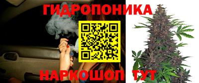 прущие грибы Рузаевка