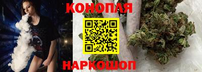 спиды Камышлов