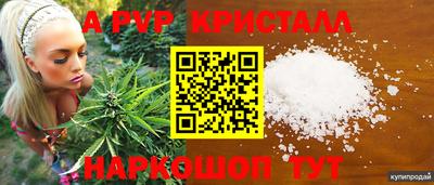 спиды Камышлов