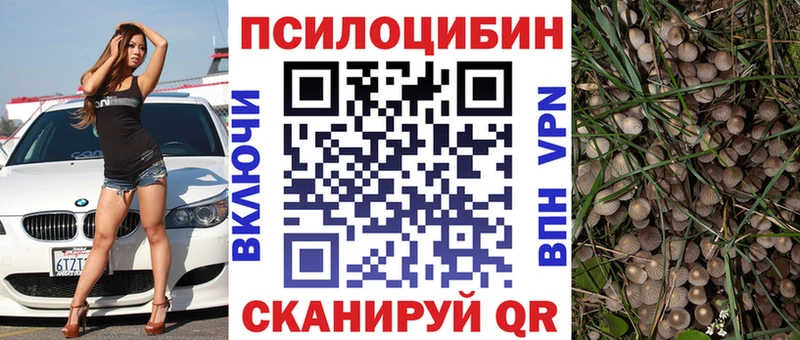 Галлюциногенные грибы прущие грибы  где можно купить   Стрежевой 