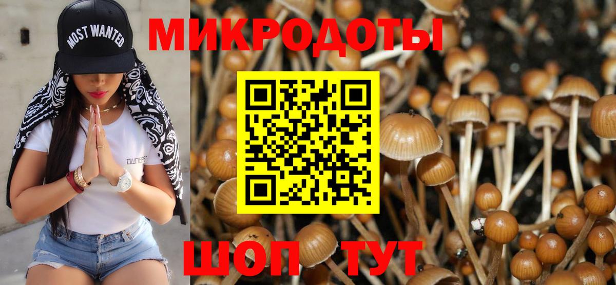 Галлюциногенные грибы Magic Shrooms Стрежевой