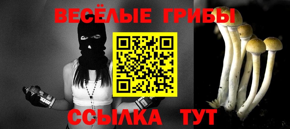 Галлюциногенные грибы MAGIC MUSHROOMS  Галлюциногенные грибы MAGIC MUSHROOMS  купить наркотики сайты  Стрежевой 