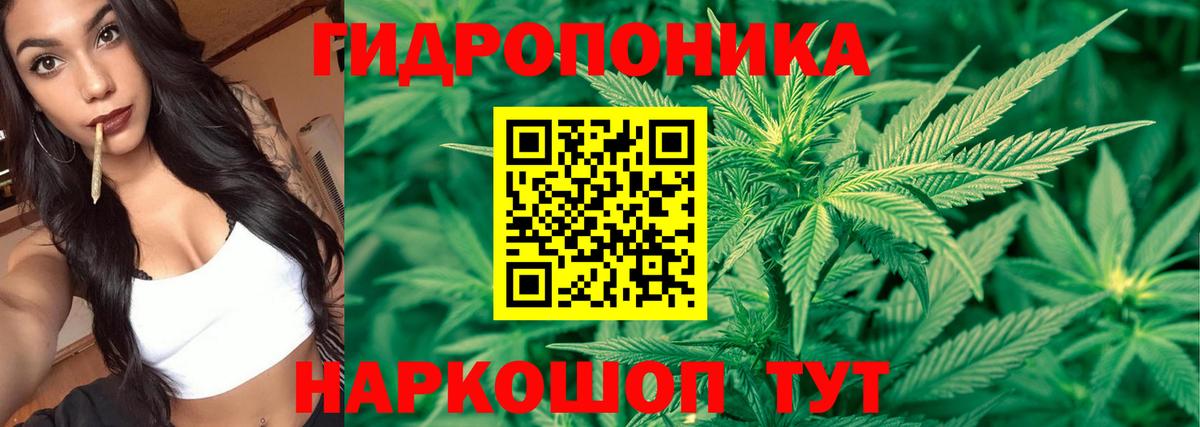 Шишки марихуана гибрид  Стрежевой 